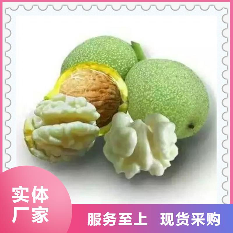 核桃苗可零售