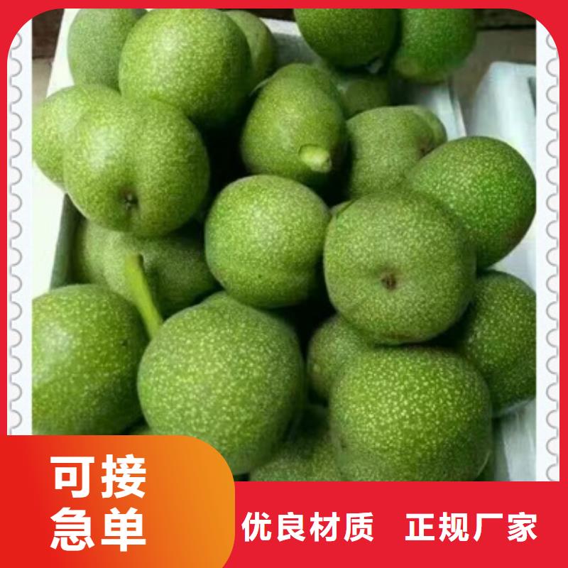 核桃苗采購認準大廠