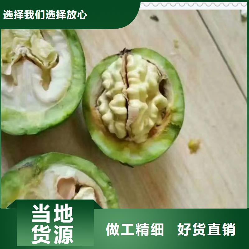 核桃苗-鉅惠來襲