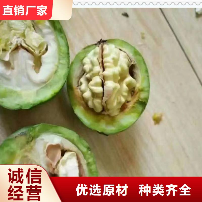 核桃苗長期有效