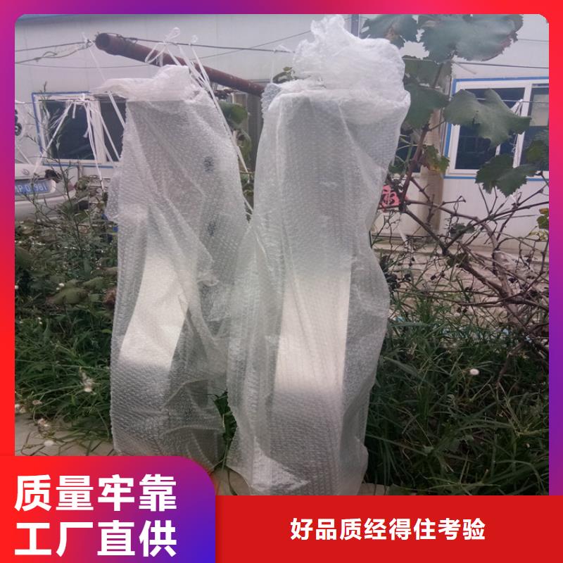 護(hù)欄-您的優(yōu)選