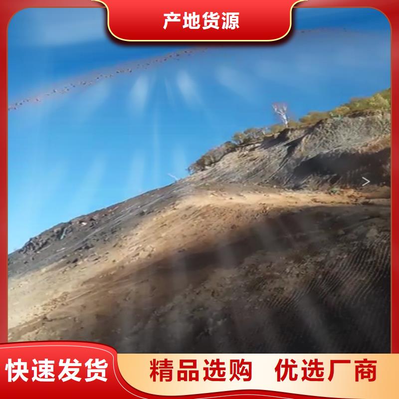 噴播機-熱線開通中
