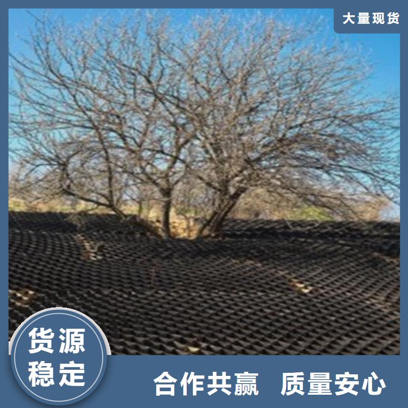 土工格柵-土工格柵出貨快打造好品質(zhì)