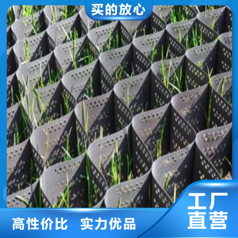 2025庫存充足##土工格柵##貨到付款同城品牌