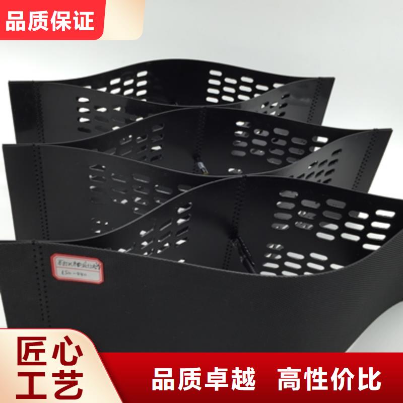 廠家供應土工格柵