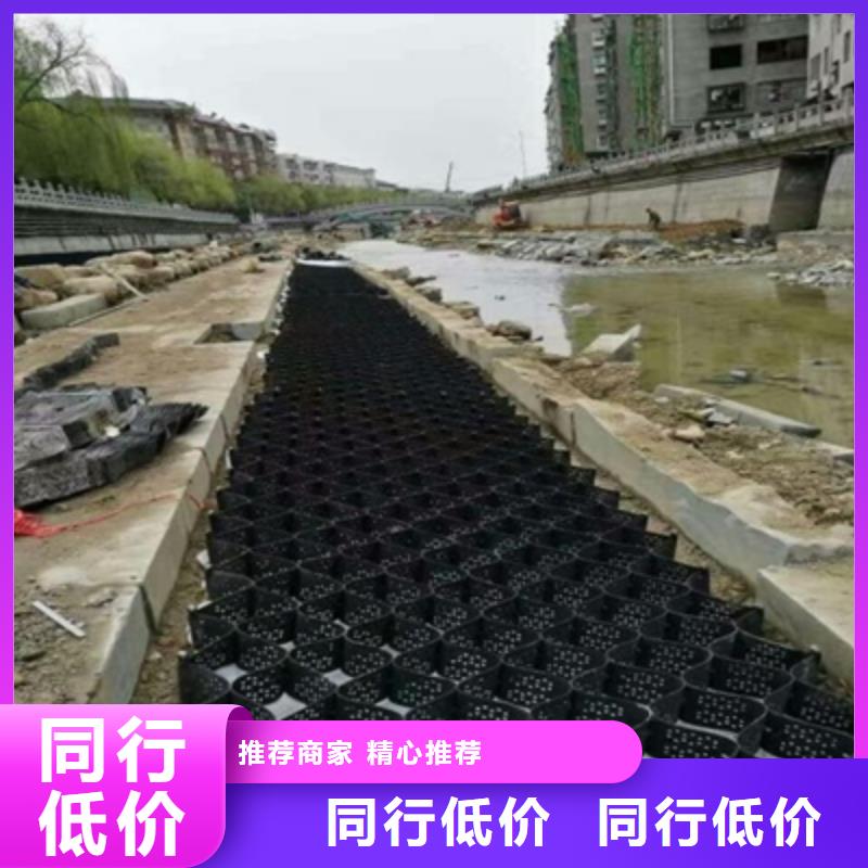 土工格柵、土工格柵生產(chǎn)廠家—薄利多銷