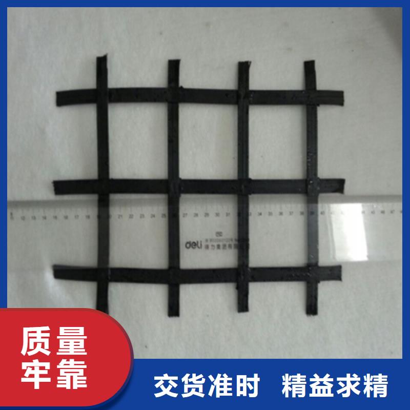 土工格柵實(shí)地廠家同城貨源