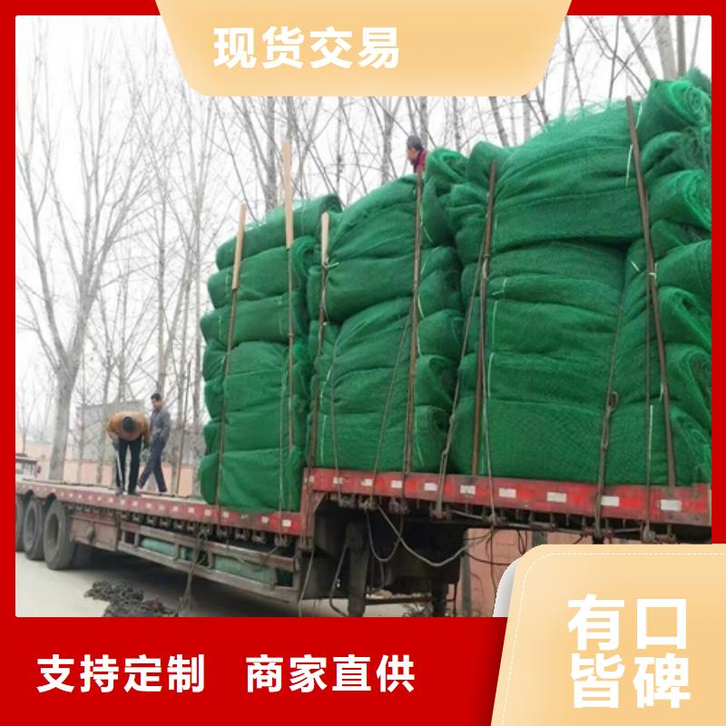 實力雄厚的生態(tài)袋-三位網(wǎng)墊供應商