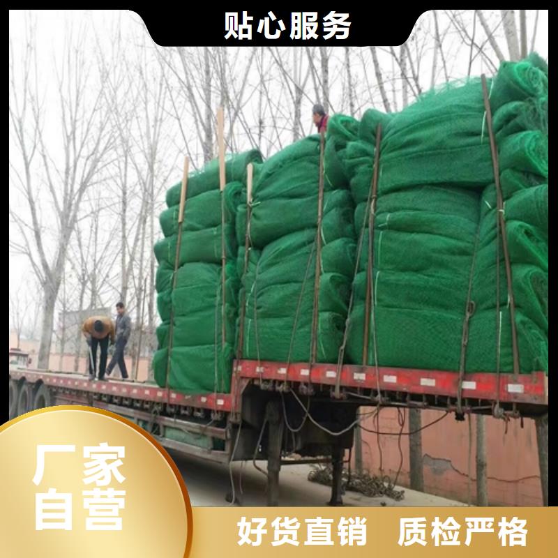 生態袋-三位網墊實力廠家質量穩定