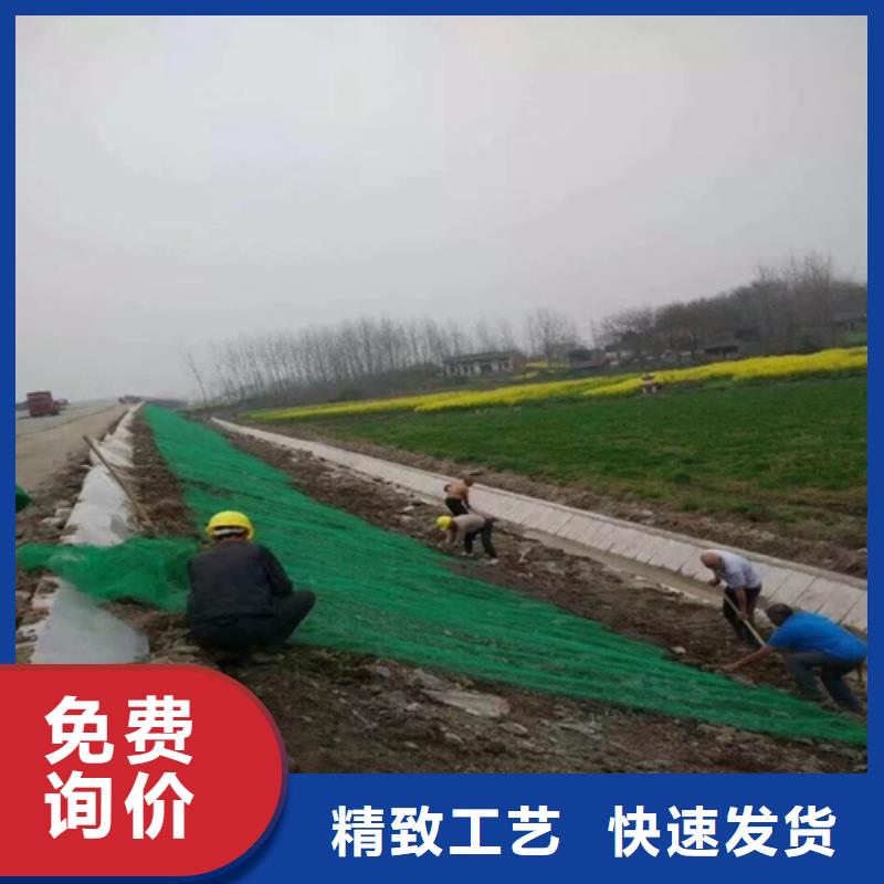 生態袋-三位網墊定做_山東潤德復合材料有限公司