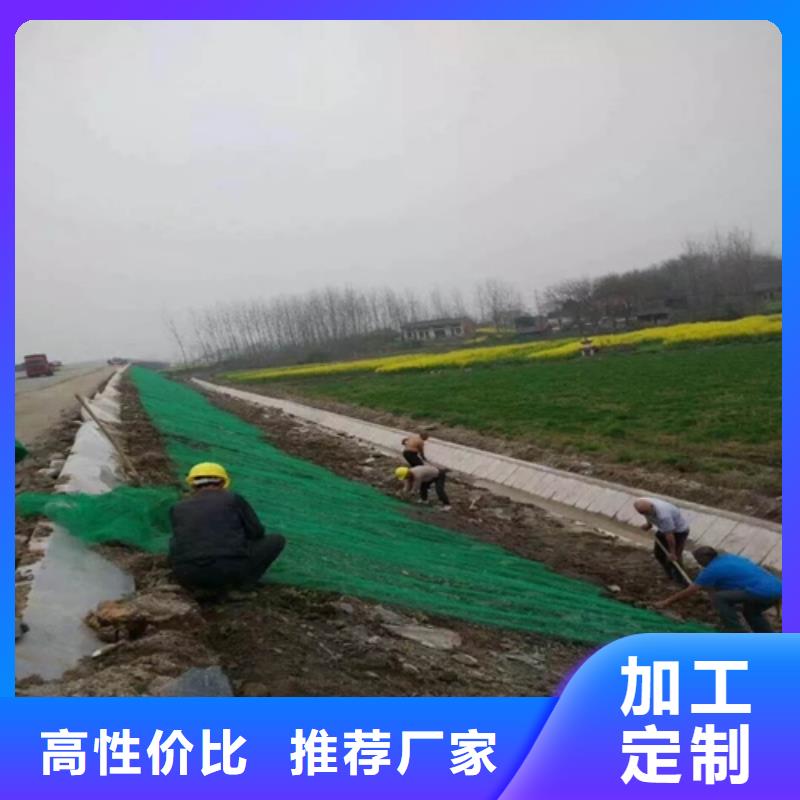 優質的生態袋-三位網墊供應商