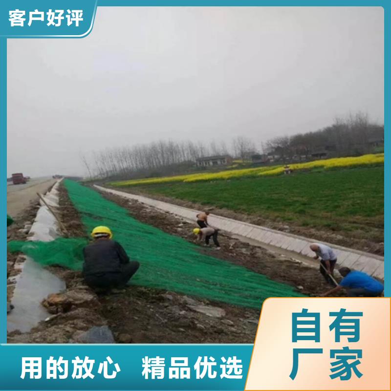 生態袋-三位網墊、生態袋-三位網墊生產廠家-本地商家正規廠家