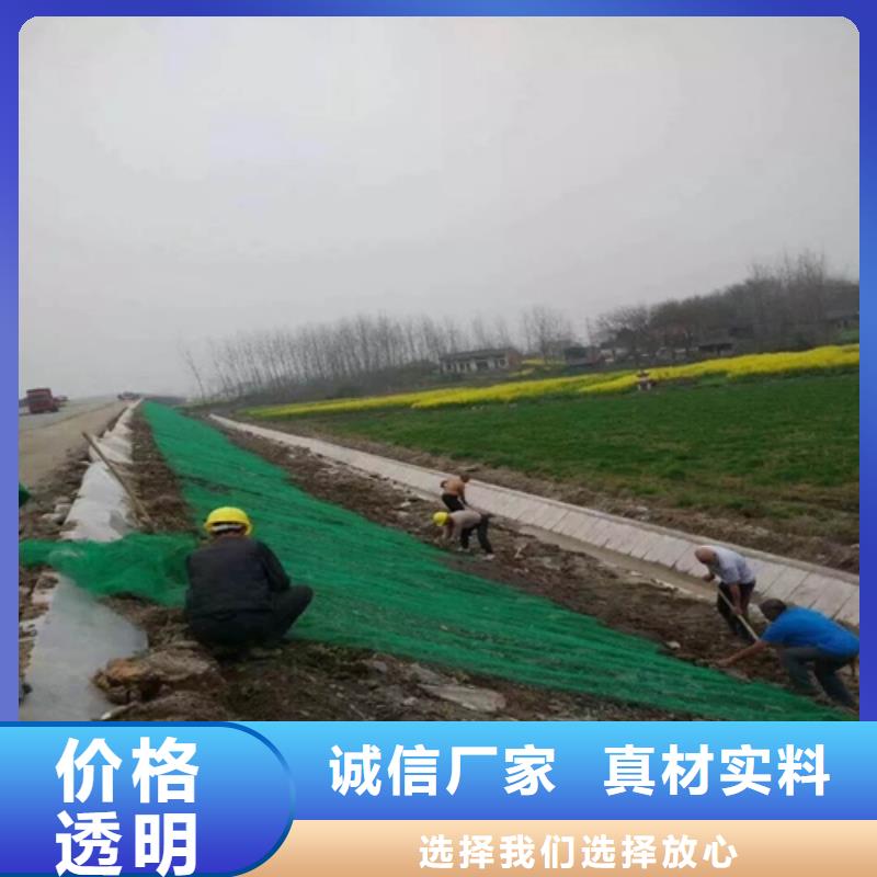 生態袋-三位網墊-生態袋-三位網墊質量有保障同城生產廠家