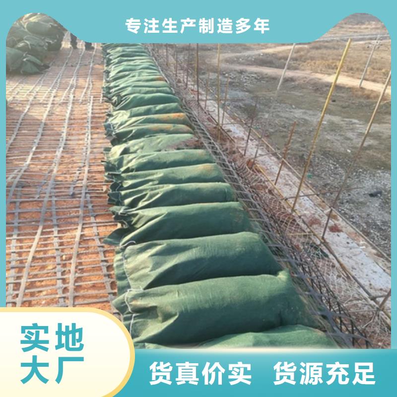 生態袋-三位網墊-踏踏實實做產品本地廠家
