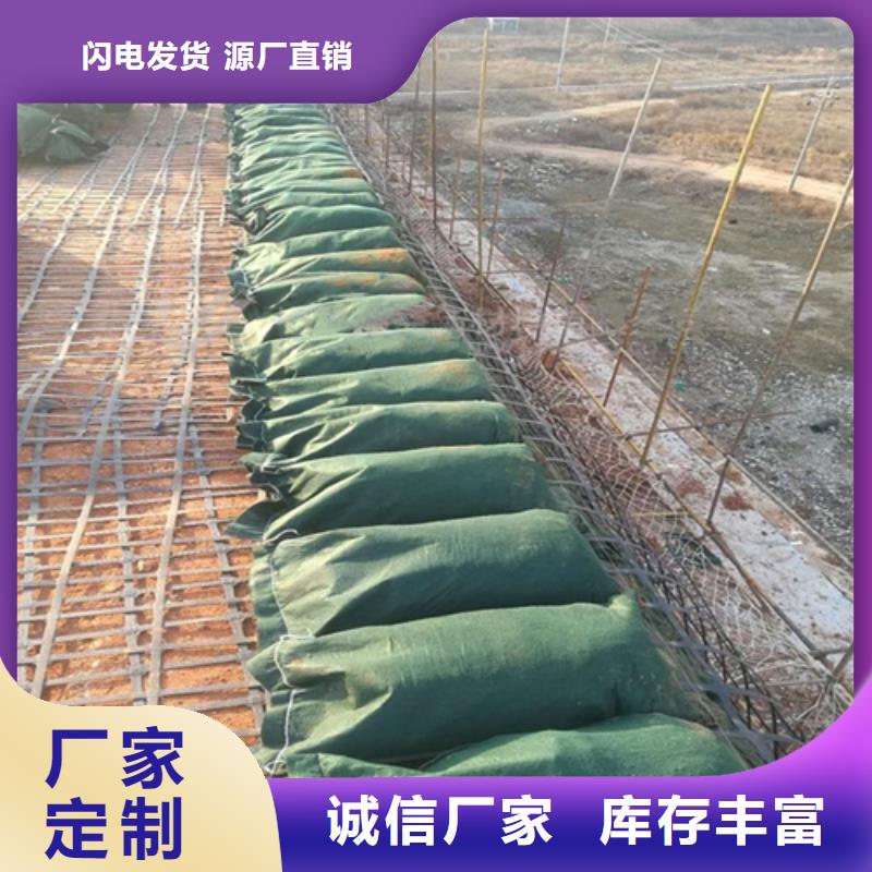 采購生態袋-三位網墊必看-質量優當地經銷商