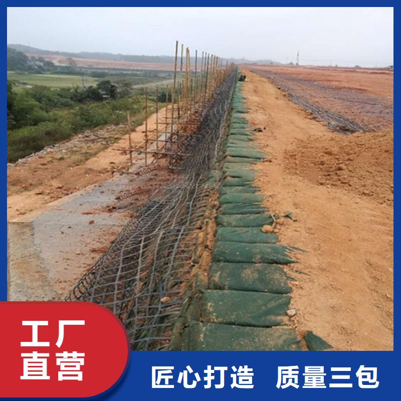 生態袋-三位網墊性能可靠當地服務商