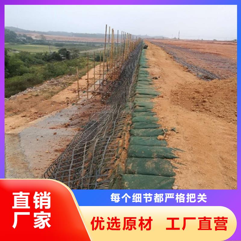 生態(tài)袋-三位網(wǎng)墊新報價優(yōu)質(zhì)貨源