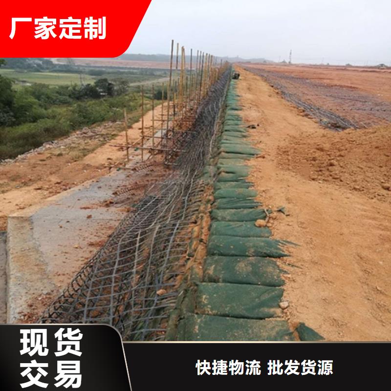 生態袋-三位網墊優選貨源本地公司