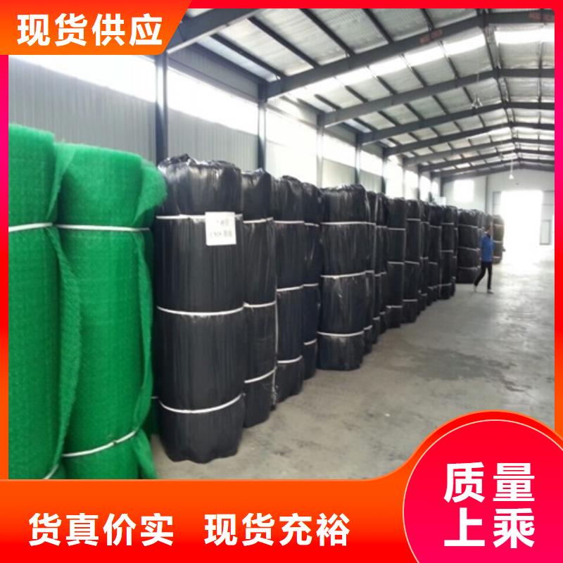 生態袋-三位網墊高端定制當地貨源