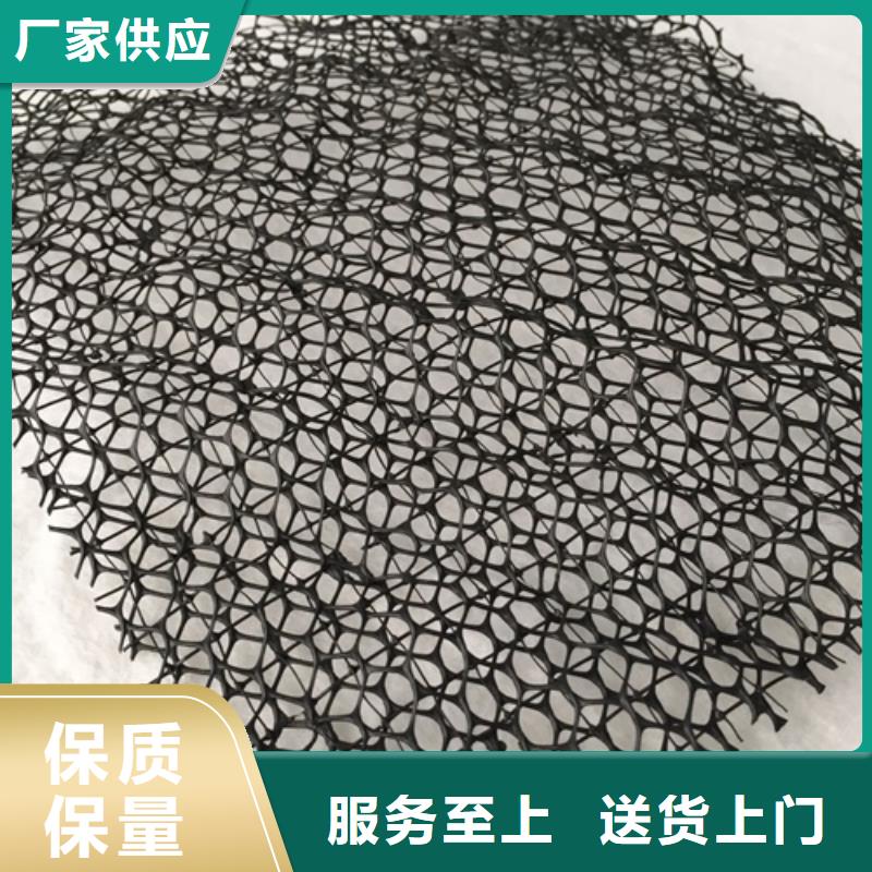 優選：生態袋-三位網墊口碑廠家