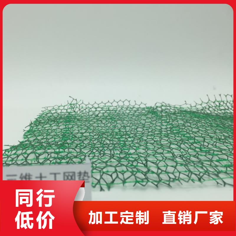 生態袋-三位網墊廠家直銷多少錢老客戶鐘愛