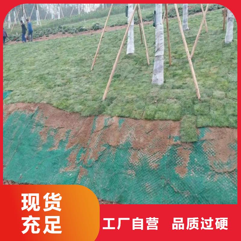 免費寄樣#生態袋-三位網墊#廠家專注生產N年