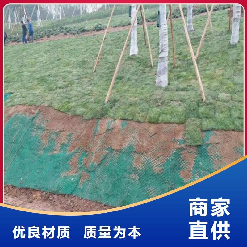 生態袋-三位網墊企業