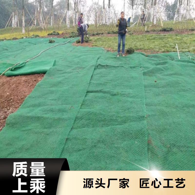 買生態袋-三位網墊必看-售后保障