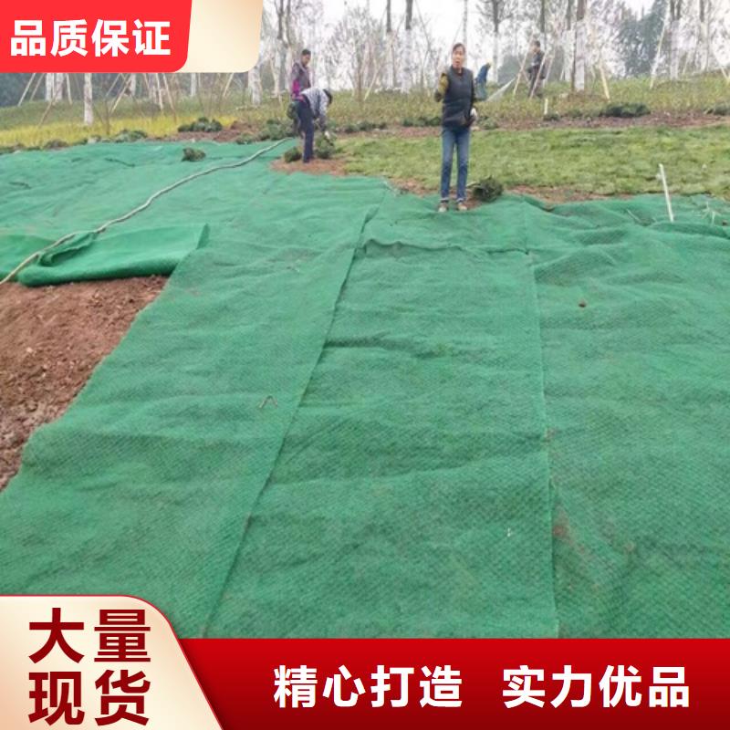 生態袋-三位網墊可來電定制-質量可靠產品優勢特點