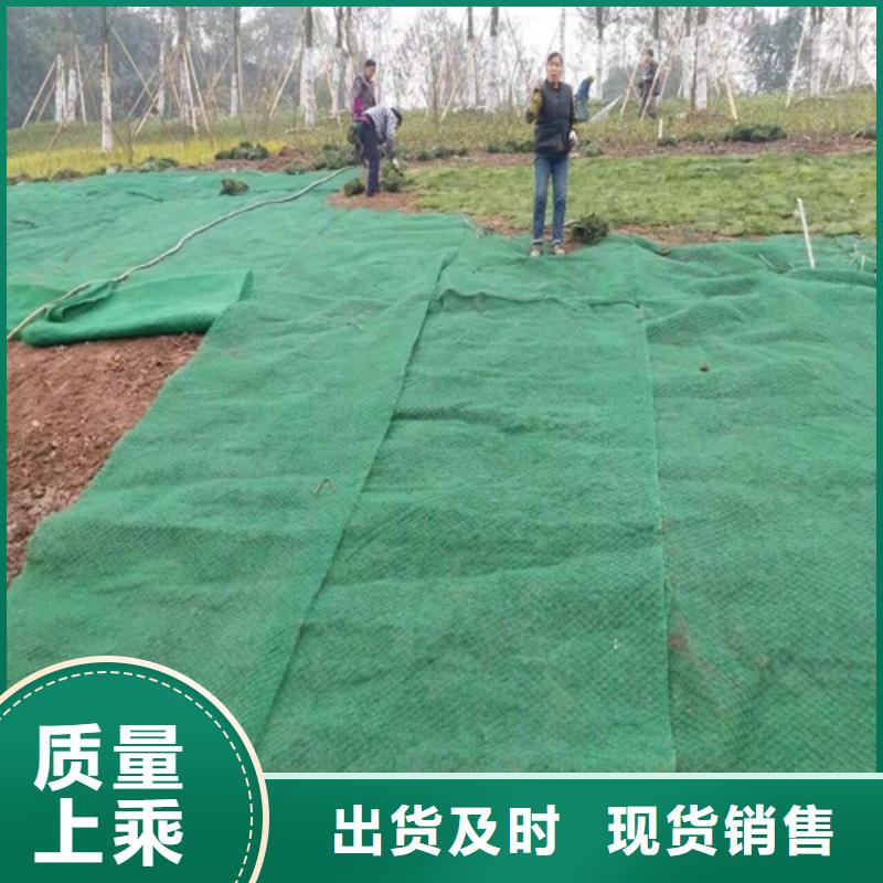 生態(tài)袋-三位網墊廠家質量有保障