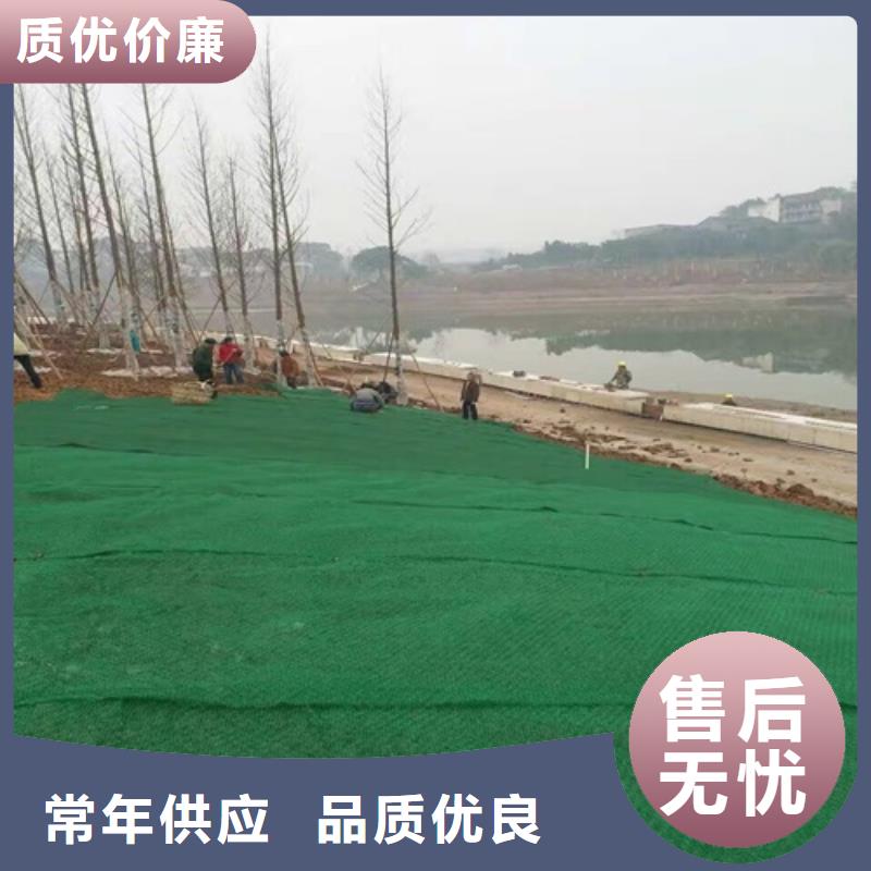 生態袋-三位網墊價格優勢大廠家