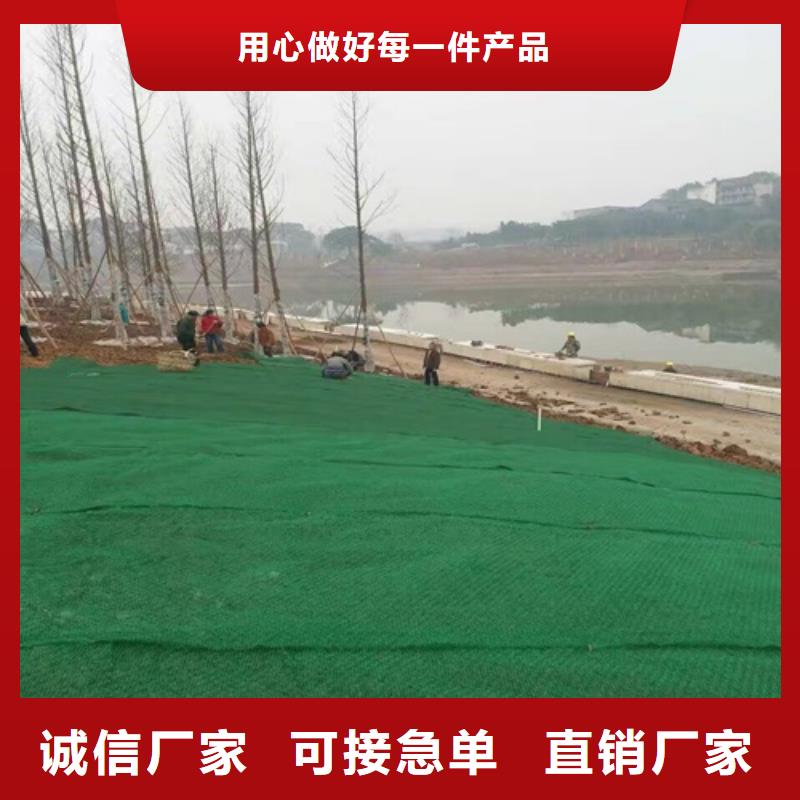 實力雄厚的生態(tài)袋-三位網(wǎng)墊供應商