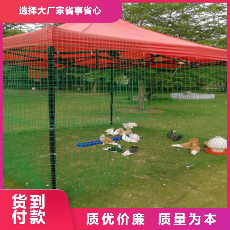 萌寵訂購熱線匠心制造
