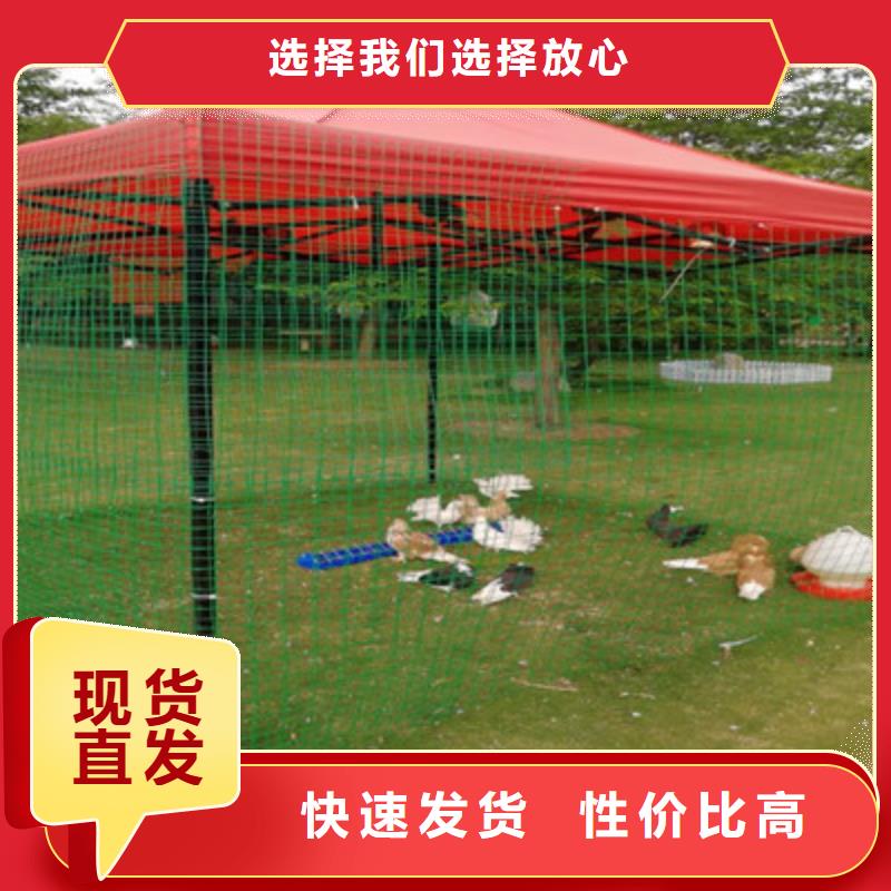 優質萌寵生產廠家