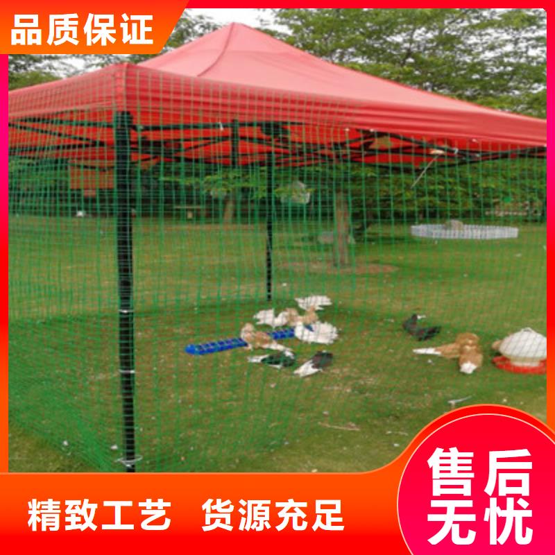 萌寵-供應(yīng)廠家