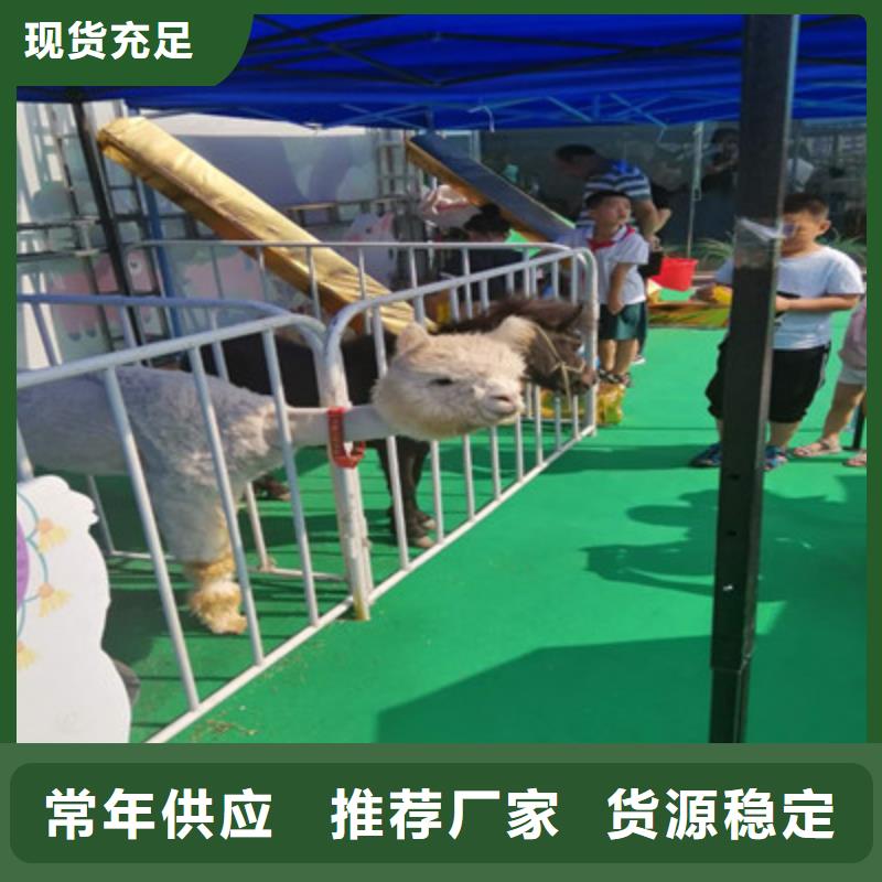 定制萌寵的基地