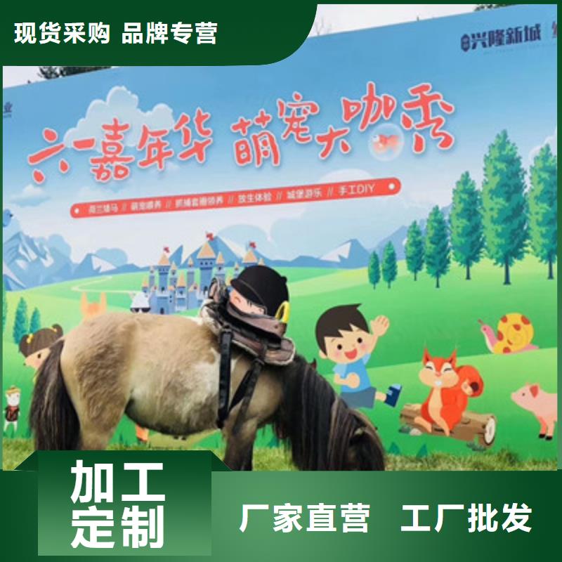 萌寵價格-可按需定做