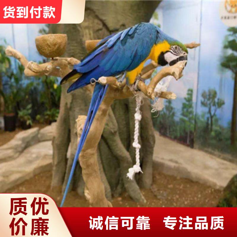 海洋生物鱼缸展览