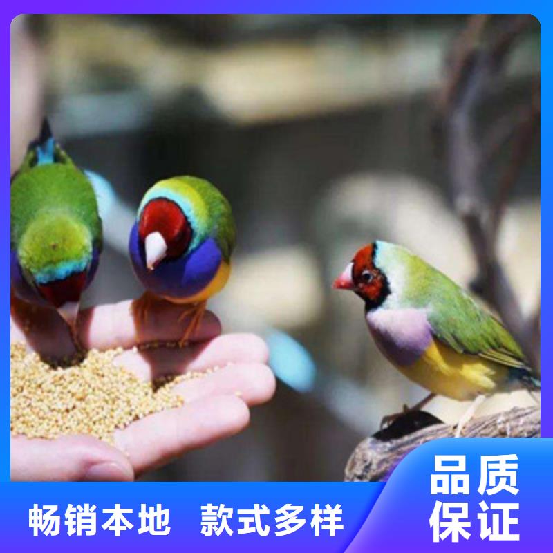 海洋生物鱼缸展览