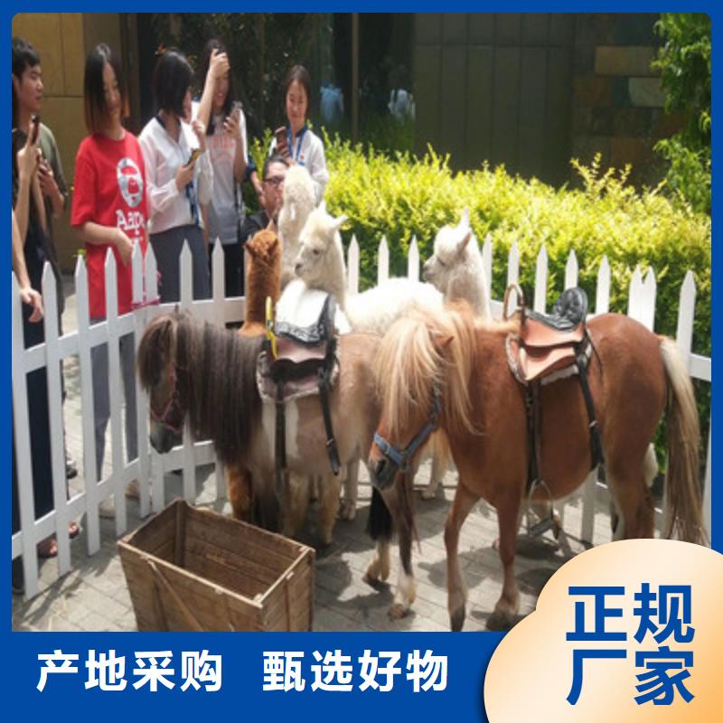 萌寵為您節(jié)省成本源頭實(shí)體廠商