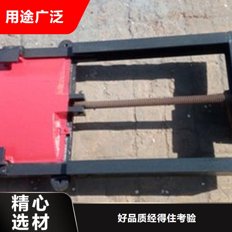 鑄鐵閘門-實力大廠