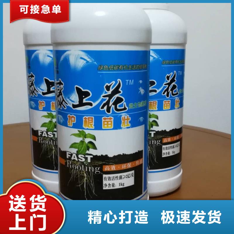微生物菌劑靠譜廠家品質信得過