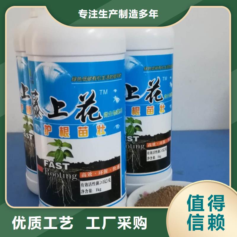 微生物菌劑廠家價格合理優良工藝
