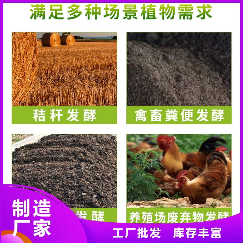 2025源頭廠家#微生物菌劑#專業定制當地生產商