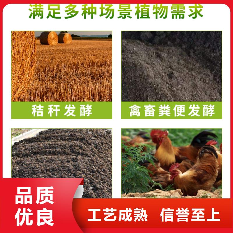 現(xiàn)貨充足的微生物菌劑廠家當(dāng)?shù)刎浽? /></div>
                                    <div   id=