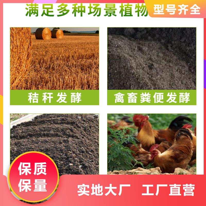 采購微生物菌劑必看-來電咨詢
