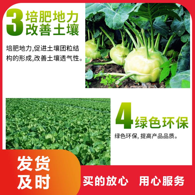 微生物菌劑大量供應廠家