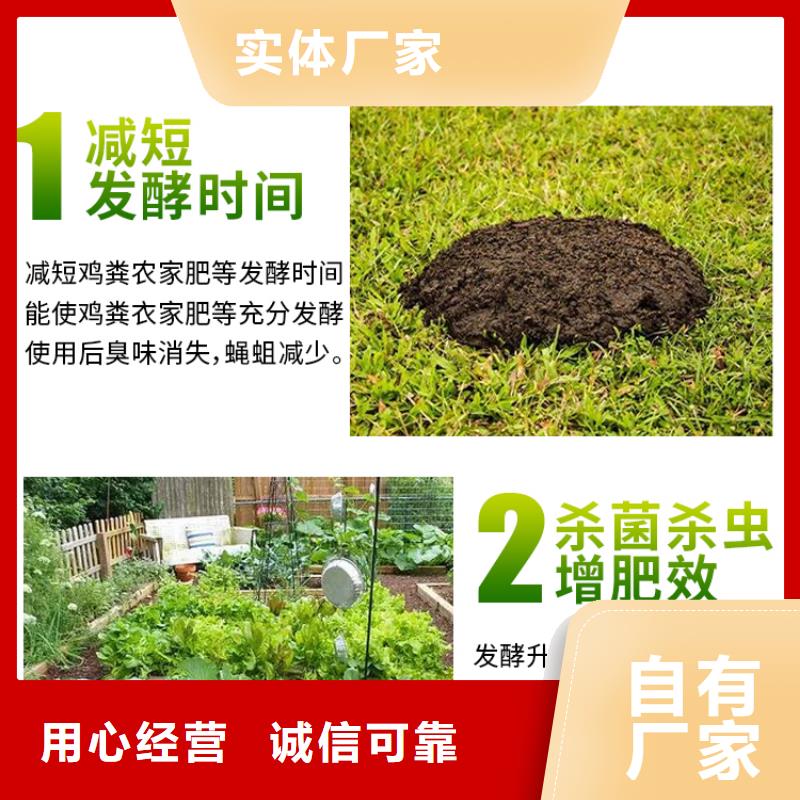 微生物菌劑供應(yīng)精致工藝