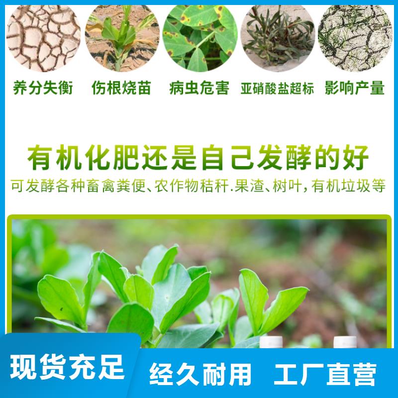 微生物菌劑施工方案