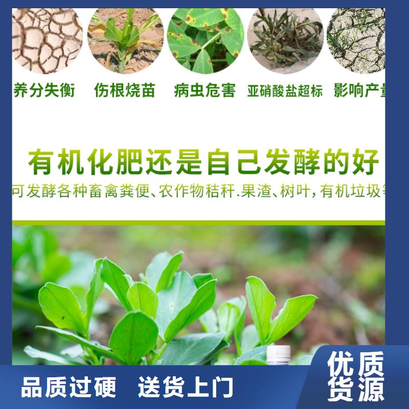 2025經(jīng)驗(yàn)豐富#微生物菌劑定制#源頭廠(chǎng)家